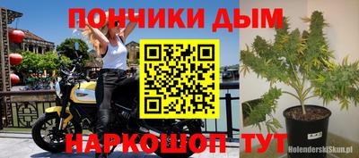 ALPHA-PVP Гусев
