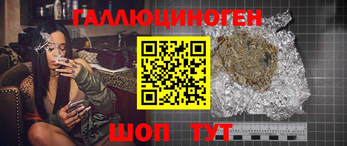 Галлюциногенные грибы Psilocybe Искитим