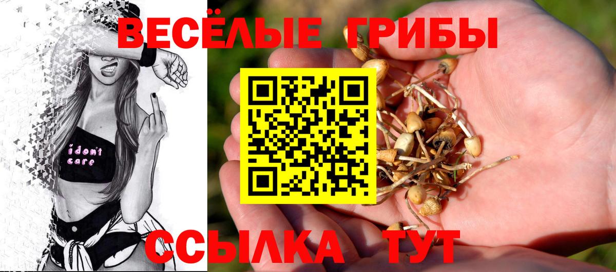 Псилоцибиновые грибы Cubensis Искитим