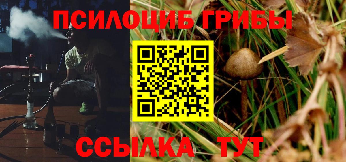 Искитим  Псилоцибиновые грибы Magic Shrooms  Вход с VPN 